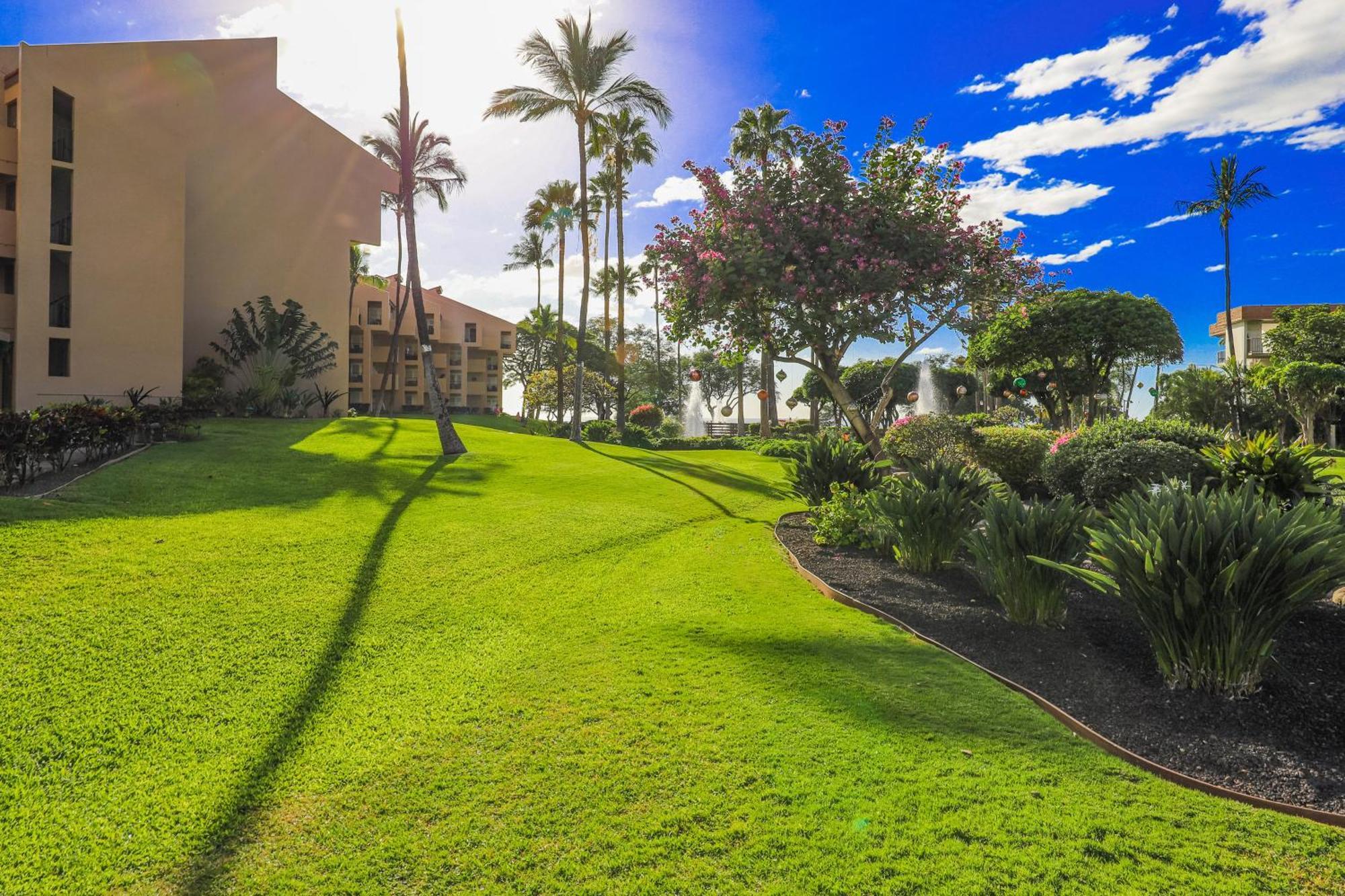 Kamaole Sands Wailea  Camera foto